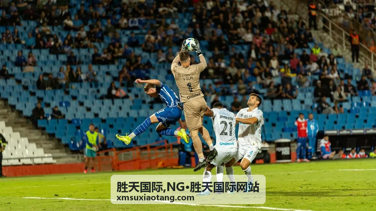 NG·胜天国际网站国际业务服务入口