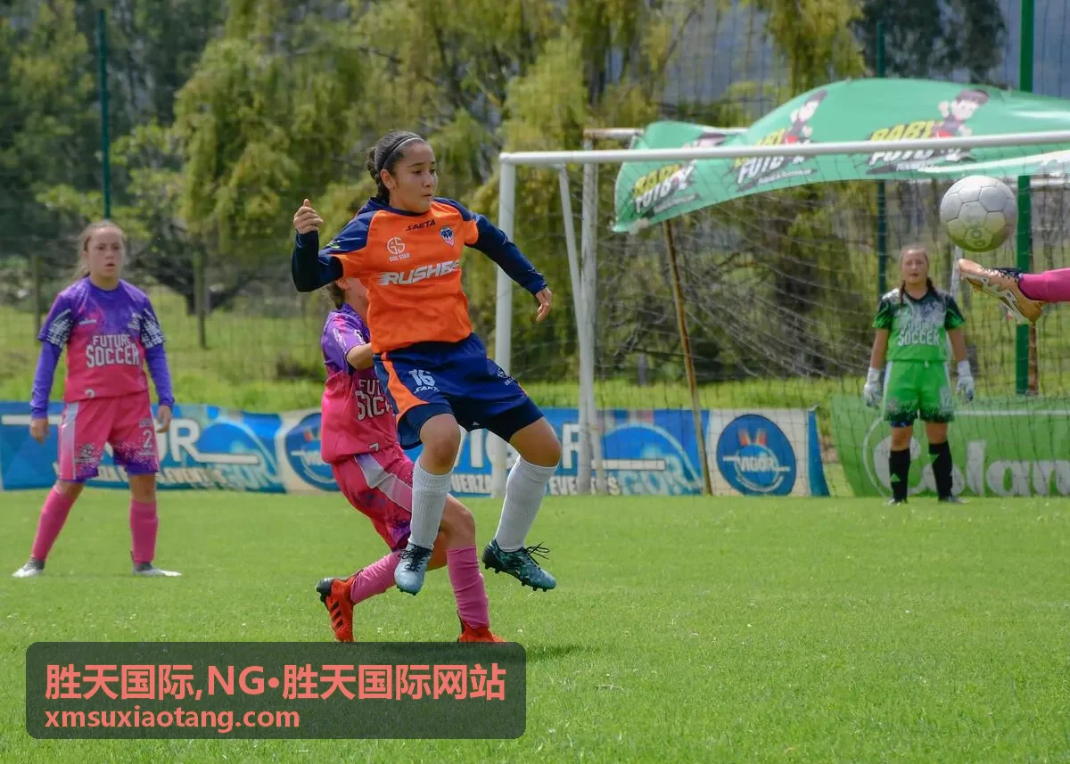 NG胜天国际服务流程